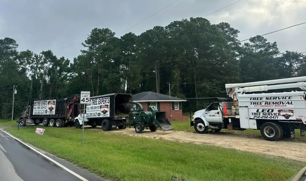 Leo Tree Experts crew ready to work in Wilson, NC