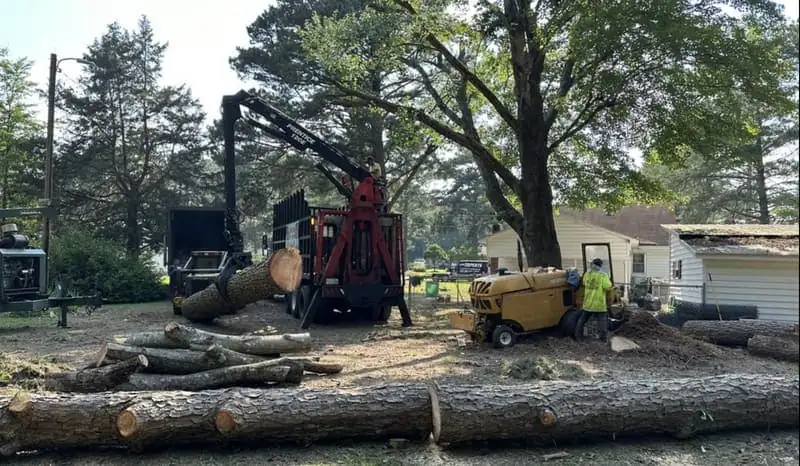 Tree Pruning in Wilson, NC