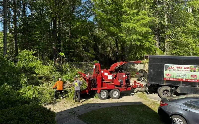 Stump Grinding in Wilson, NC